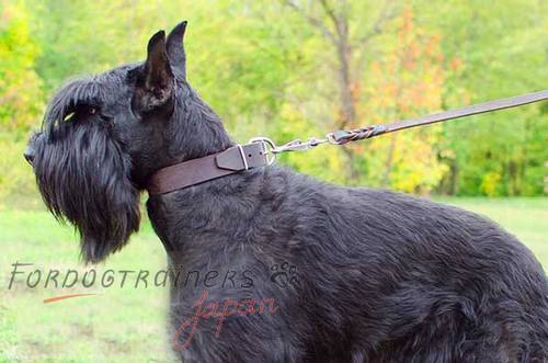 犬の首に優しい40mm本革製首輪