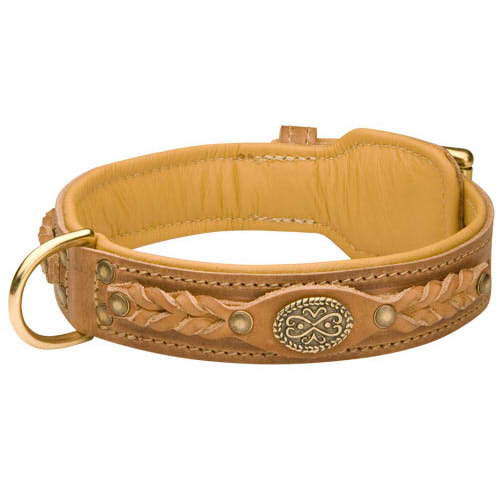 ナパレザーのパッド付きデコ・カラー