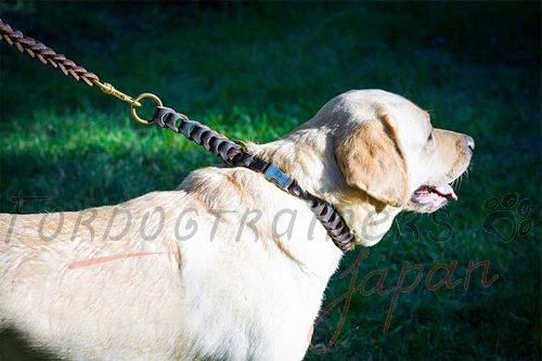 中型犬用おしゃれなレザー首輪