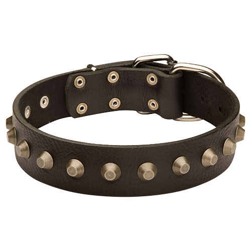 コニカル・スタッズ付き革の首輪