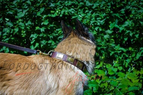 犬の散歩用デコカラー