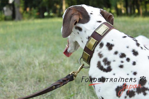 着用しやすい　犬用の革製首輪