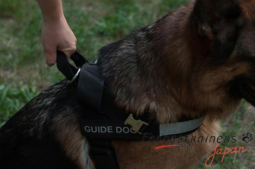 盲導犬にとって快適で着用しやすい　ナイロンハーネス