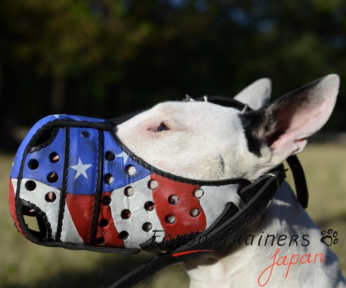 Best muzzle for shop bull terrier