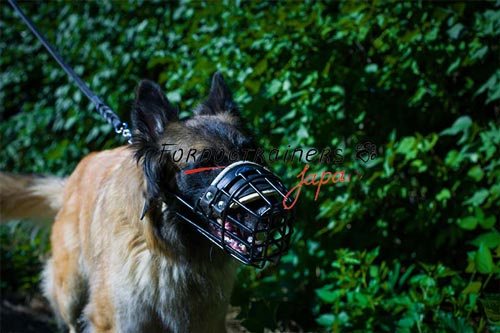 中型犬・大型犬用　ワイヤー製口輪