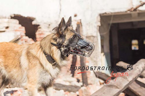 中型犬・大型犬用口輪