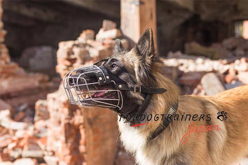 中型犬・大型犬のトレーニング用ワイヤー製口輪