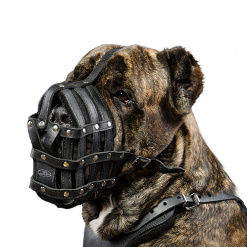 カネコルソ用メッシュタイプ革製マズル