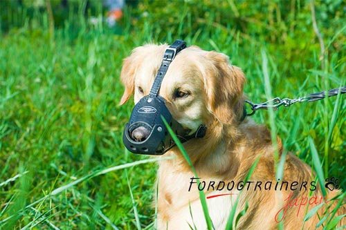 犬の散歩用の口輪　本革製