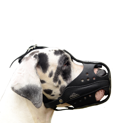 Durable Leather Muzzle for Great Dane