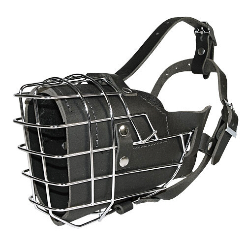 犬訓練向けのパッド付き口輪 大型犬用