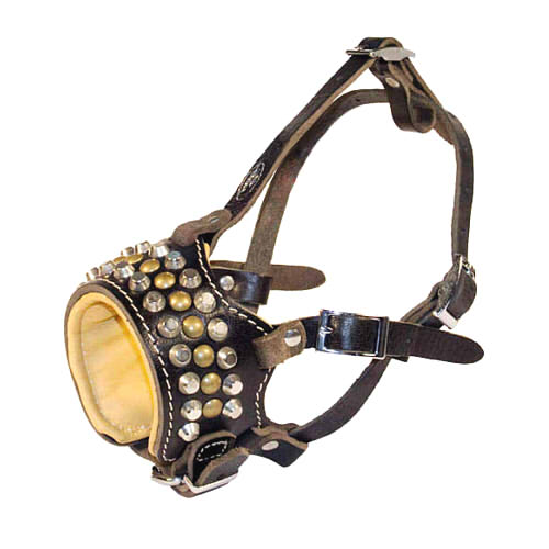 中型犬・大型犬に適したスタッズ付き革製口輪