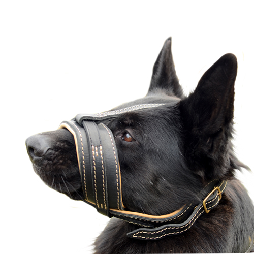 ナパ・レザーのパッド付き革製犬用口輪