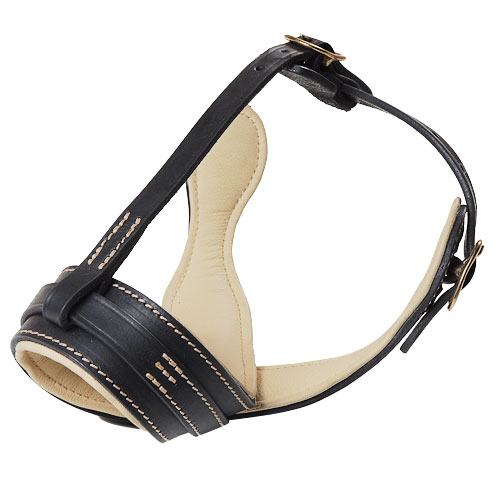 ナパ・レザーのパッド付き革製犬用口輪