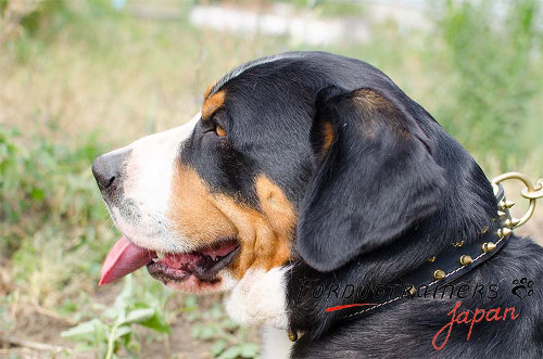 大型犬　首輪　ダブルレザー　スパイク付