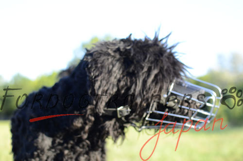 大型犬用口輪　日常使用用