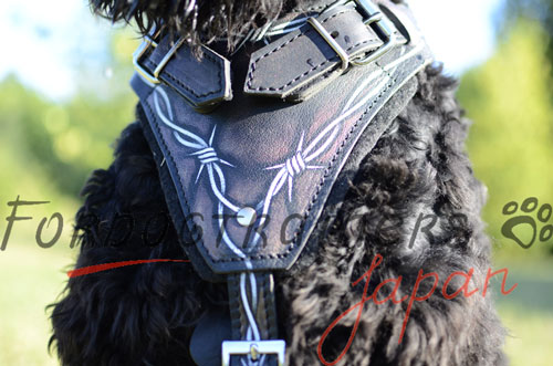 大型犬用ハーネス　有刺鉄線柄