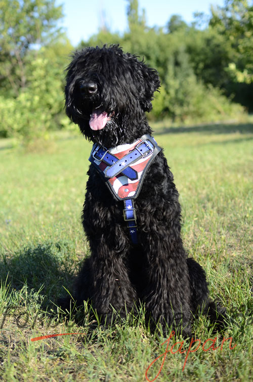 大型犬用ハーネス　アメリカン国旗柄付