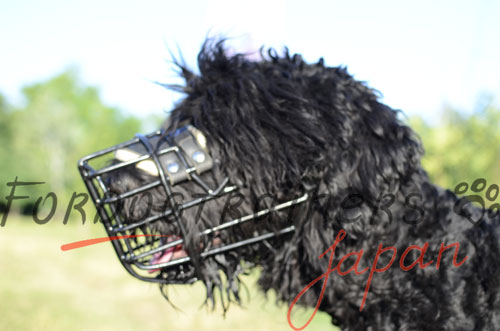 大型犬用口輪　傷防止ゴム保護層付