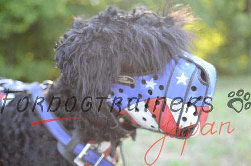 大型犬用口輪　ハンドクラフトデザイン