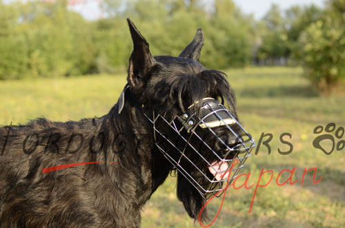 ジャイアント・シュナウザー向けの口輪