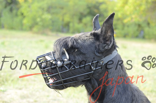 ジャイアントシュナウザー　口輪　黒