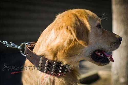 かっこいいスタッズ＆スパイク付　本革製　犬用首輪