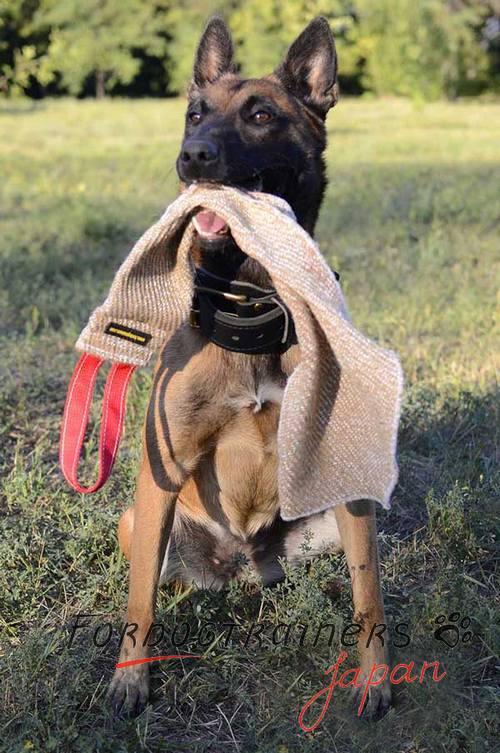 犬の噛む訓練用ジュート製タグ