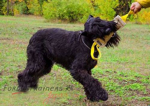 Selling dog toys and chew pillows for dogs made from durable jute