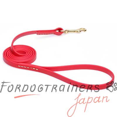 犬　ビオタン　リード　1.2cm　黄銅製ナスカンと強化されたステッチ