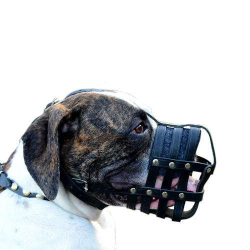 Light Leather Dog Muzzle for Shar Pei 