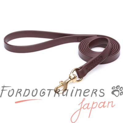 ドッグトレーニング リード　ビオタンリード　茶色