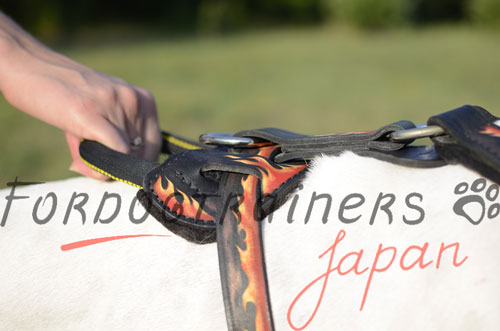 イングリッシュ・ポインター用炎柄付きハーネス