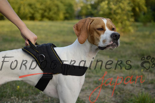 大型犬用多目的ハーネス