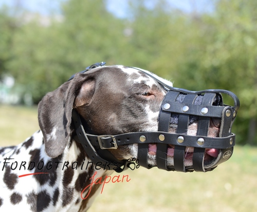 大型犬　口輪　本革