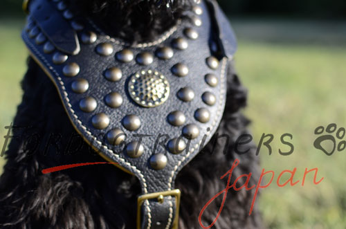 大型犬用ハーネス　可愛いコンチョ付