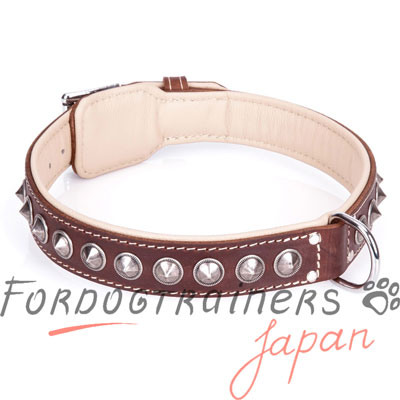 大型犬用首輪　二重革製　素敵な装飾付き