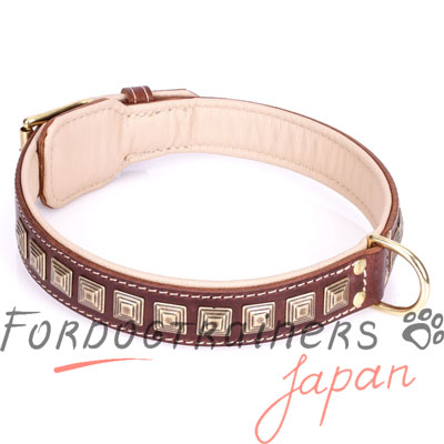 大型犬用首輪　素敵なスタッズの装飾付き　本革製　40mm