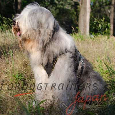 シェパード　ハーネス　便利なハンドル付　上質なナイロン製