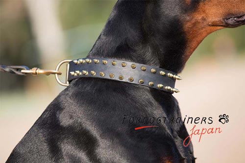 犬用の首輪の通販・犬の革製首輪