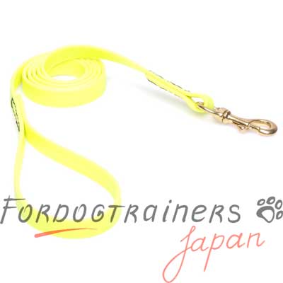 ビオタン リード　黄色　２cm ドッグ トレーニングにぴったり！