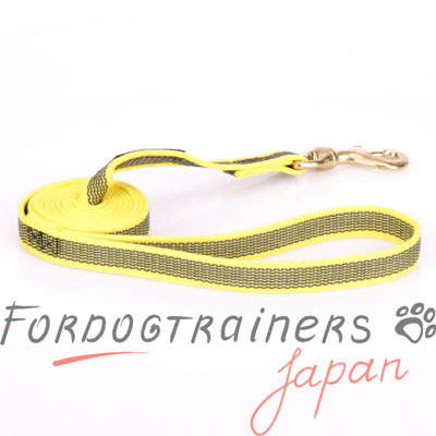 大型犬・中型犬用犬用リード　キラキラ黄色　ナイロン製　180cm
