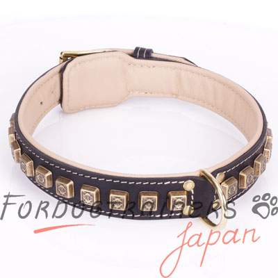 大型犬　散歩やトレーニングに最適な本革製おしゃれ首輪　茶　装飾付き