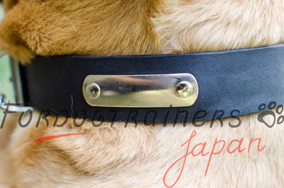 カネコルソ 首輪　レザー製　ネームプレート付き - 閉じるために、画像をクリック