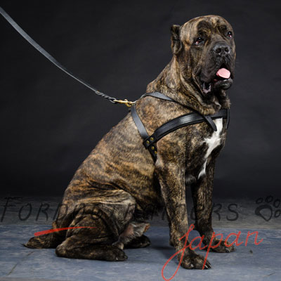 犬　ウェイトプルハーネス　上質なレザー製