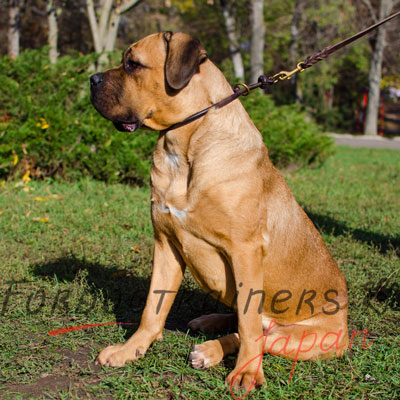 カネコルソ チョークカラー　上質な本革製　丸型デザイン