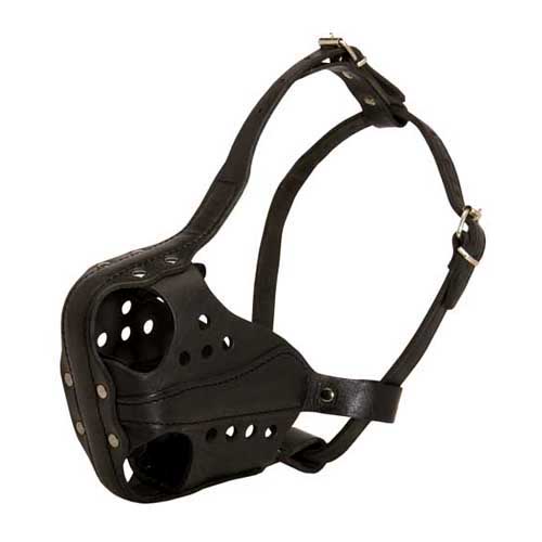 レザーの犬用口輪　犬訓練用