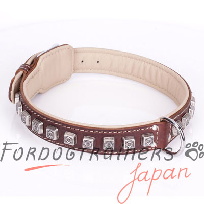 大型犬の首輪　革製　ユニクなコンチョ付き　ナチュラル色