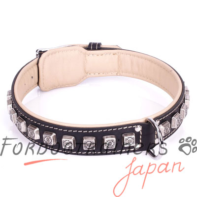 大型犬　散歩や大型犬　しつけに最適なデコ首輪　本革製　コンチョ付き
