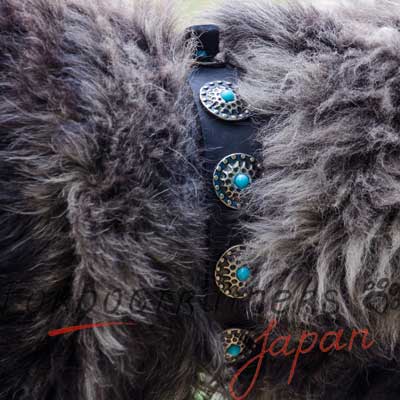 大型犬　しつけ　首輪　上質なレザー製　馴染みがソフト　かっこいいコンチョ付